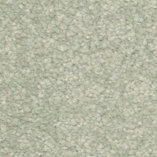 Dixie Home Inspiring Mizzle