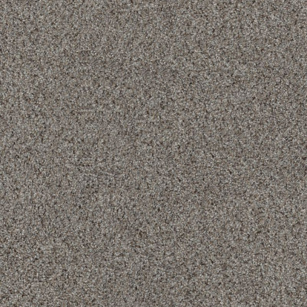 Shaw Floors Abilene II Powerful SHAW