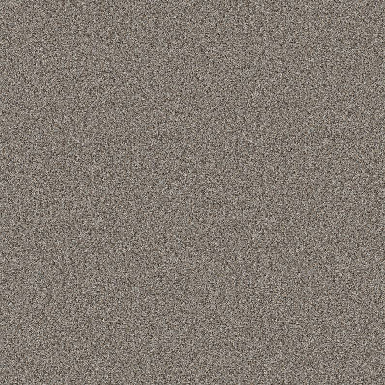 Shaw Floors Abilene I Powerful SHAW