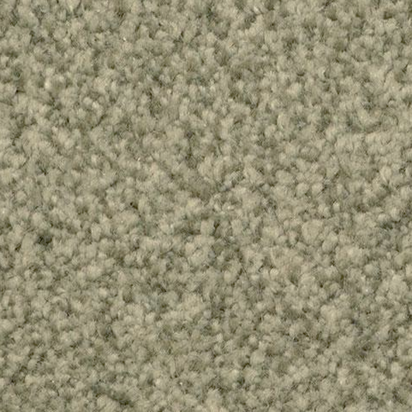 Dixie Home Semitones Rain Forest