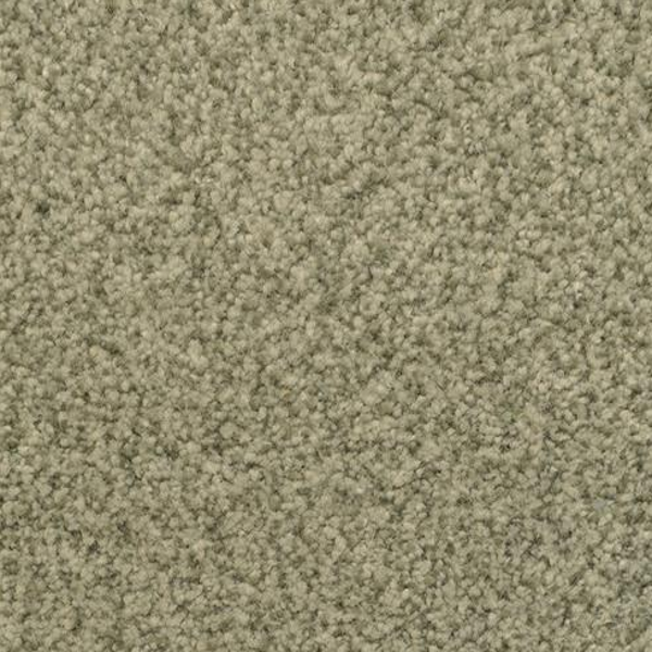 Dixie Home Chromatic Touch Rain Forest