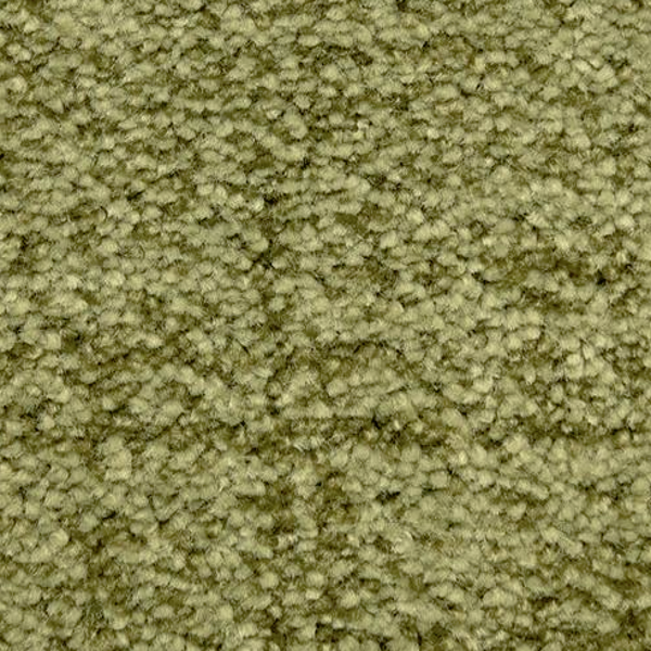 Dixie Home Mystique Bermuda Grass