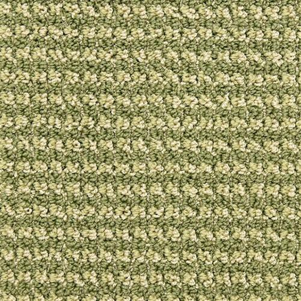 Masland Carpets Tango Aerial Masland