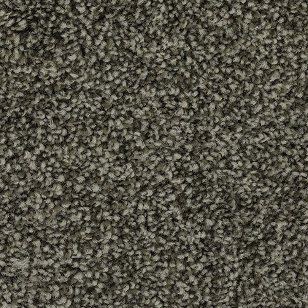 Mohawk Carpet Effortless Choice Espresso Mohawk