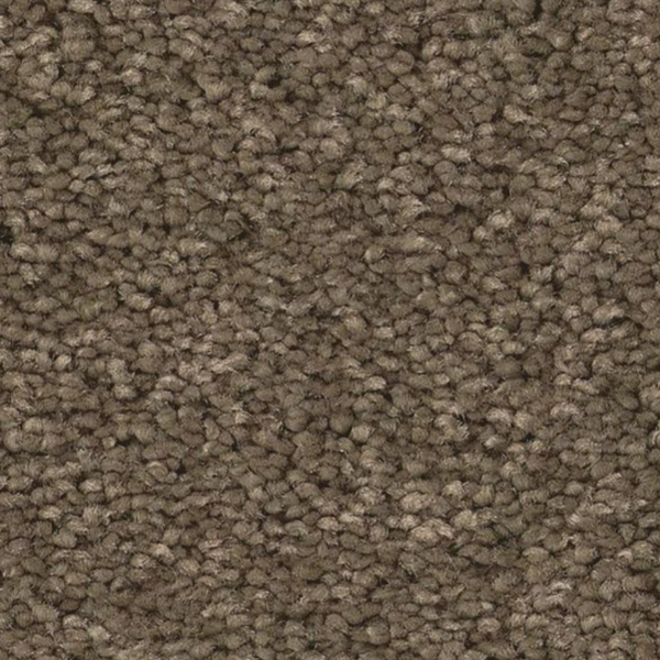 Tuftex Elegant Beauty Moonbeam SHAW