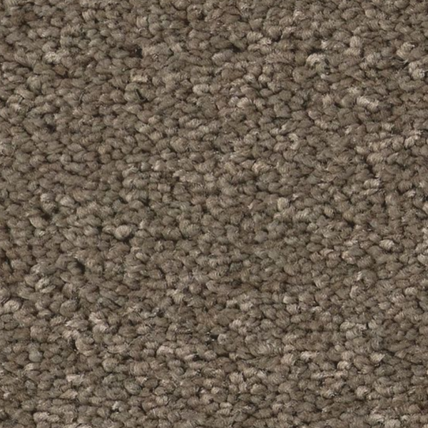 Tuftex Enduring Charm Moonbeam SHAW