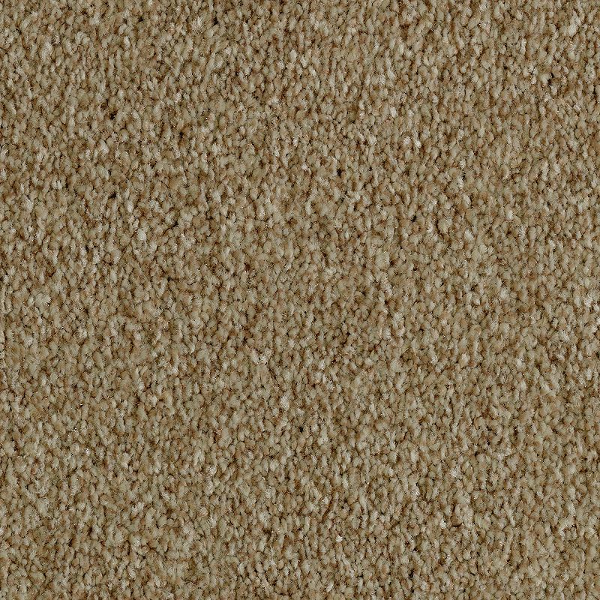 Horizon Carpet Brilliant Idea Sparkling Cider Mohawk