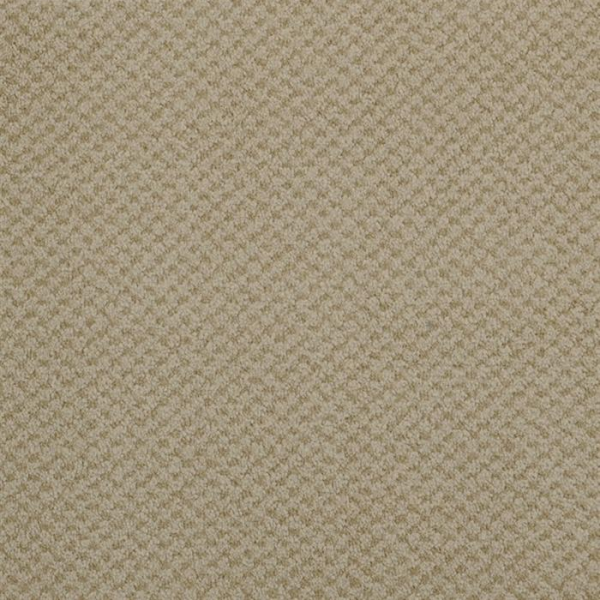 Masland Carpets Seurat Buff Masland