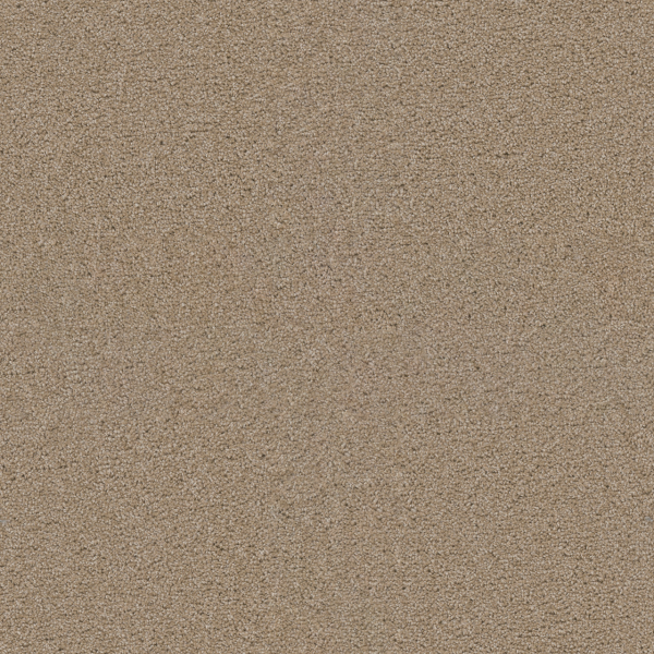 Dreamweaver Carpet Exceptional II Cashmere DREAMWEAVER