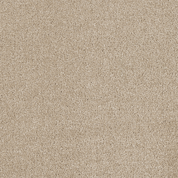 Dreamweaver Carpet Hollywood Cashmere DREAMWEAVER