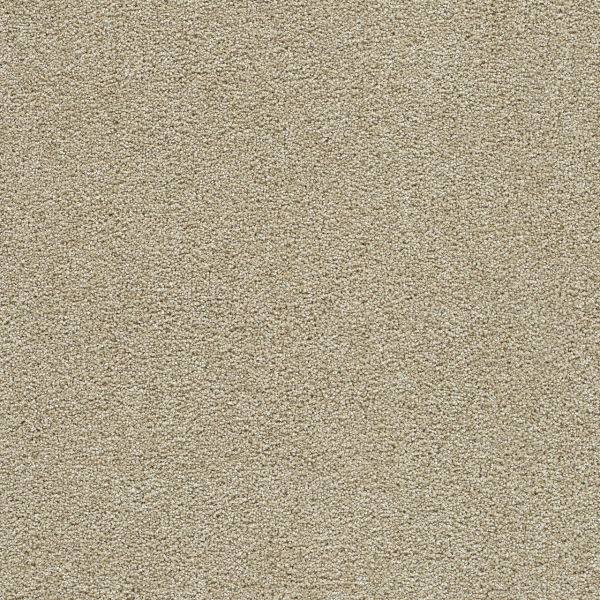 Dreamweaver Carpet Clear Skies II Cream DREAMWEAVER