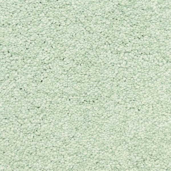 Masland Carpets Vero Beach Spray Masland