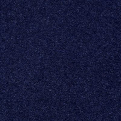 Aladdin Carpet Accelerator Plus Real Indigo MISSING