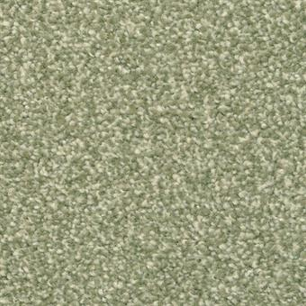 Masland Carpets Beacon Hill Pine Masland