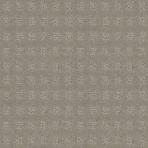 Shaw Floors Alluring Disposition Lady in Gray SHAW