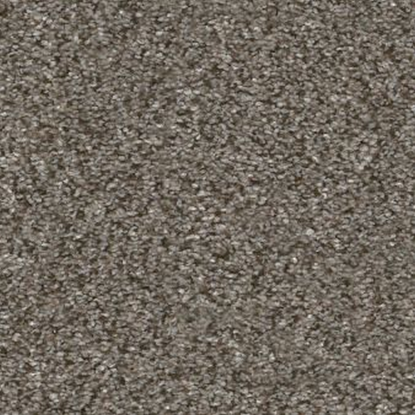 Shaw Floors Without Limits I Misty Mica SHAW