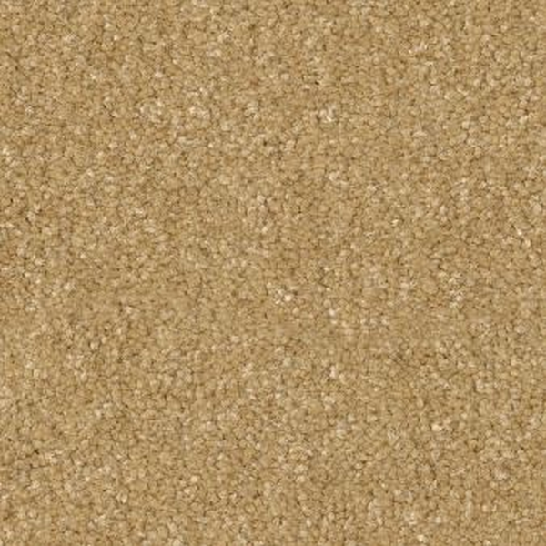 Shaw Floors Hard At Play II 15' Honeycomb SHAW