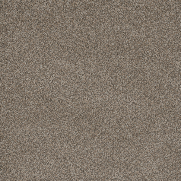 Dreamweaver Carpet Monte Carlo I Umber DREAMWEAVER