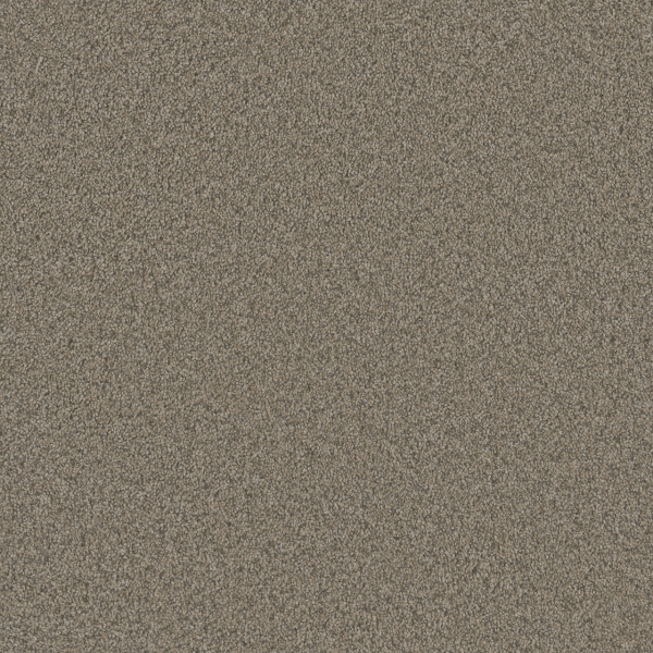 Dreamweaver Carpet Blazer II Umber DREAMWEAVER