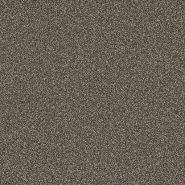 Dreamweaver Carpet Blazer III Fawn DREAMWEAVER