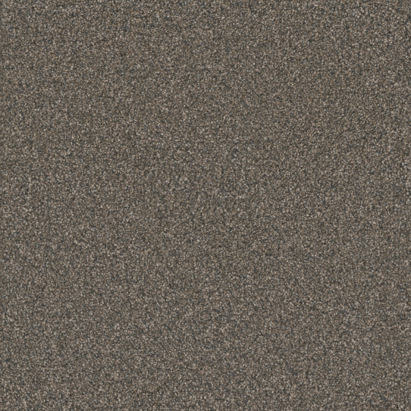 Dreamweaver Carpet Monte Carlo III Bordeaux DREAMWEAVER