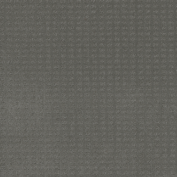 Dreamweaver Carpet Superb Skyway DREAMWEAVER