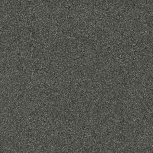 Dreamweaver Carpet Blazer III Nitro DREAMWEAVER