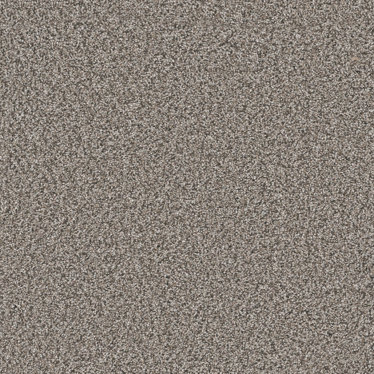 Dreamweaver Carpet Windy City I Mesa Falls DREAMWEAVER