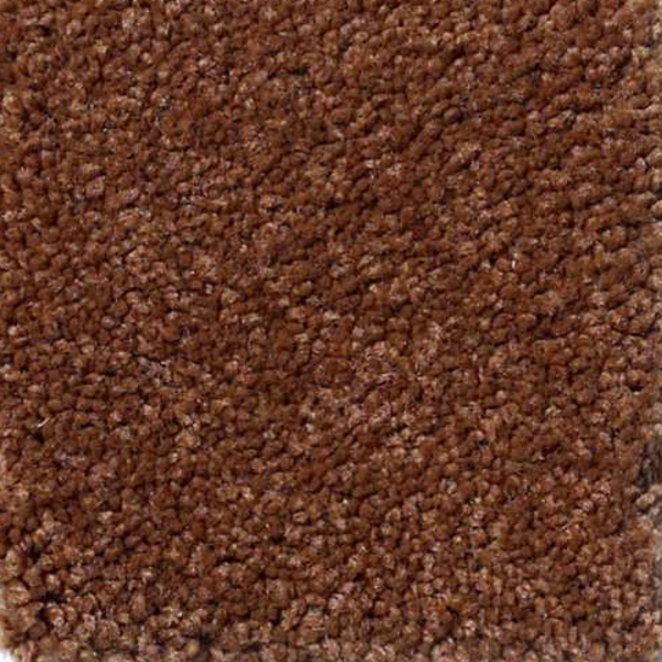 Shaw Floors Magic At Last III 15' Copper SHAW