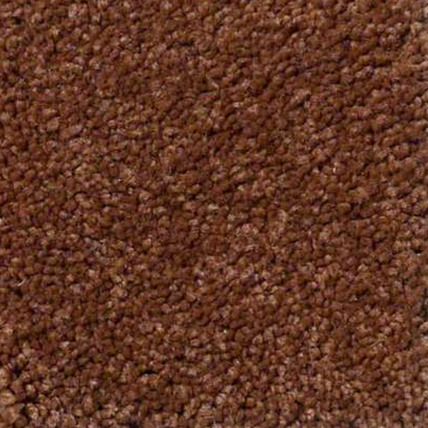 Shaw Floors Ultimate Expression 15' Dark Amber SHAW