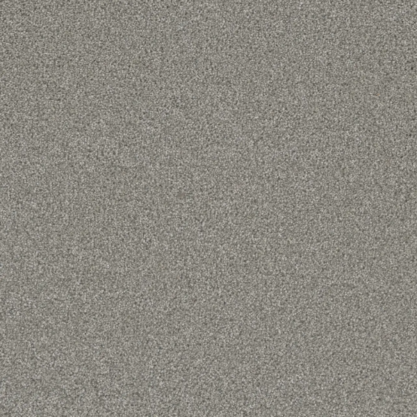 Dreamweaver Carpet Royale I Winterscape DREAMWEAVER