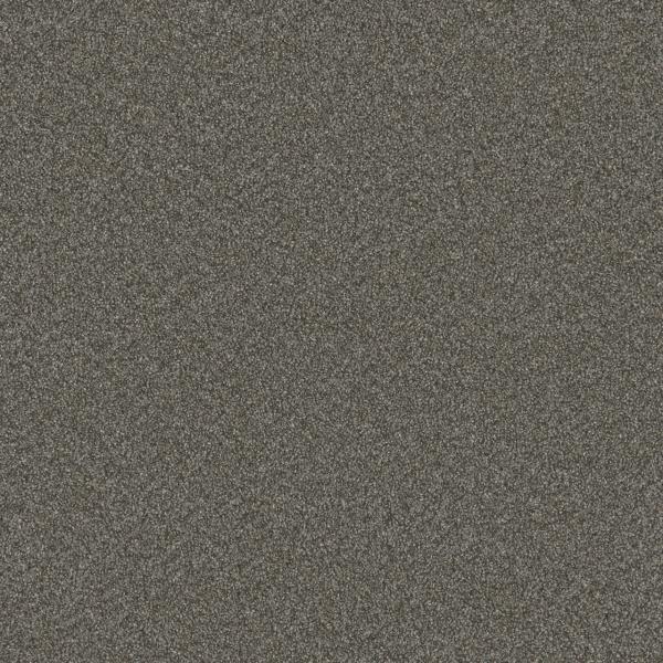 Dreamweaver Carpet Blazer I Meadow Dance DREAMWEAVER