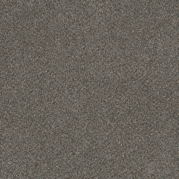 Dreamweaver Carpet Monte Carlo III Meadow Dance DREAMWEAVER