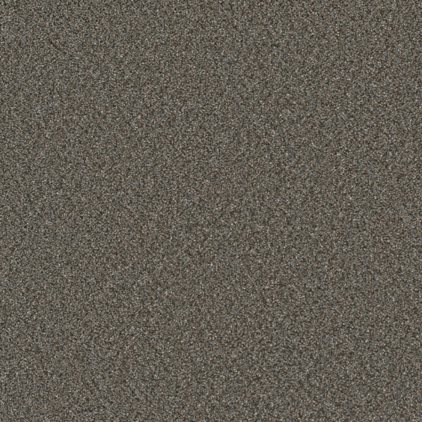 Dreamweaver Carpet Royale II Meadow Dance DREAMWEAVER