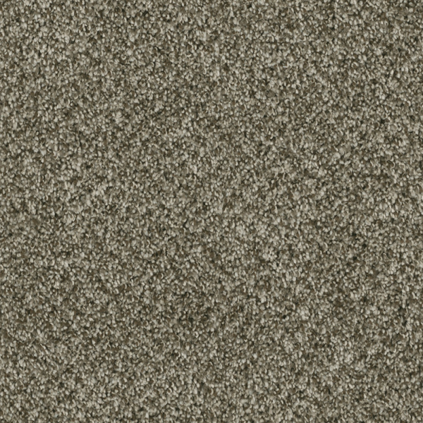 Dreamweaver Carpet Brazen II Olivewood DREAMWEAVER