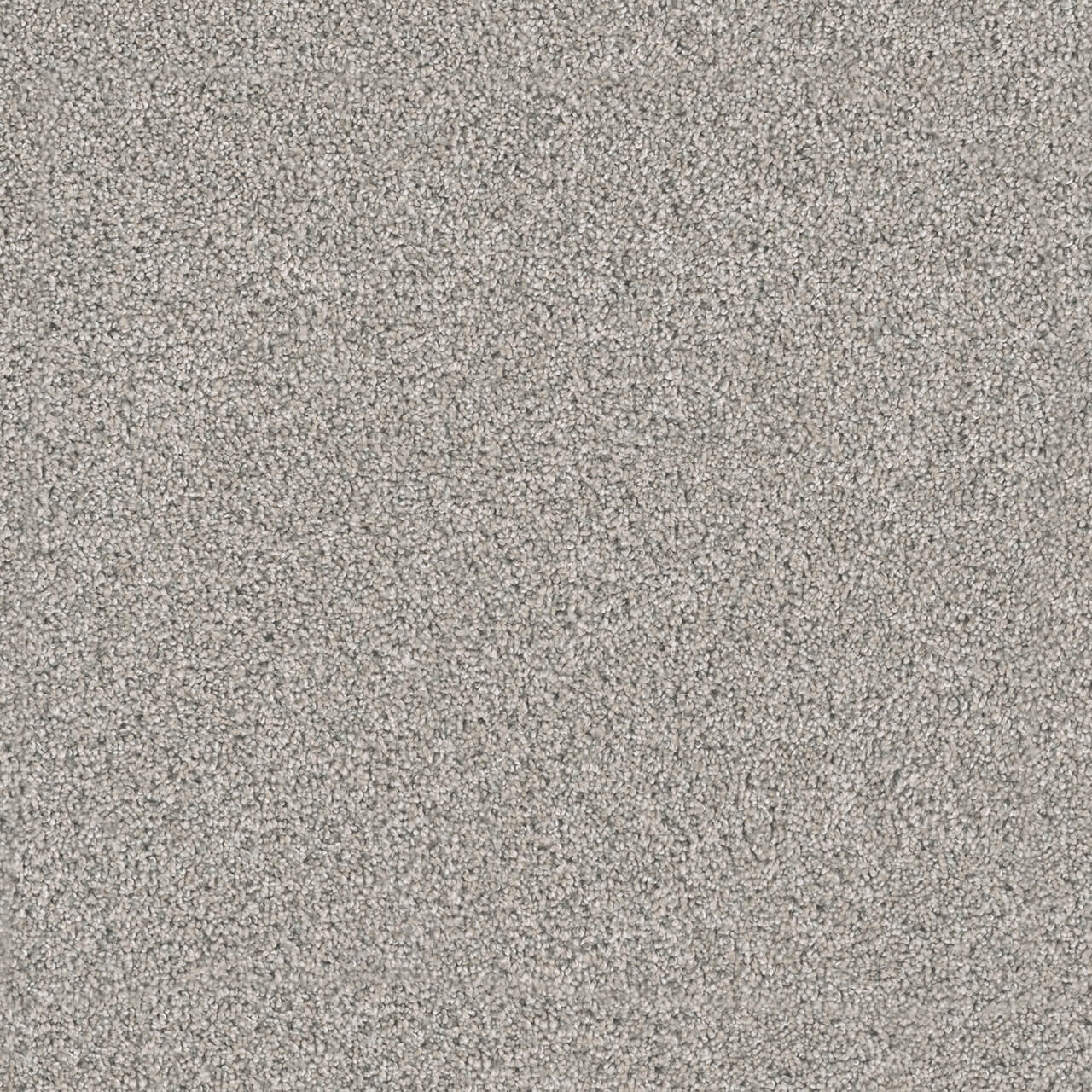 Dreamweaver Carpet Windy City I Falling Star DREAMWEAVER