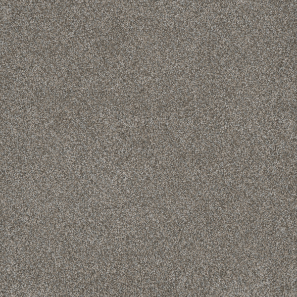 Dreamweaver Carpet Monte Carlo III Dogwood DREAMWEAVER