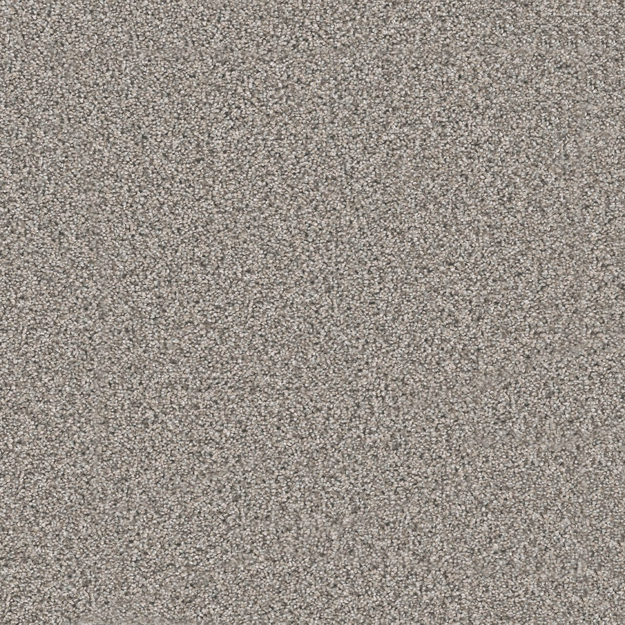 Dreamweaver Carpet Windy City III Cottonwood DREAMWEAVER