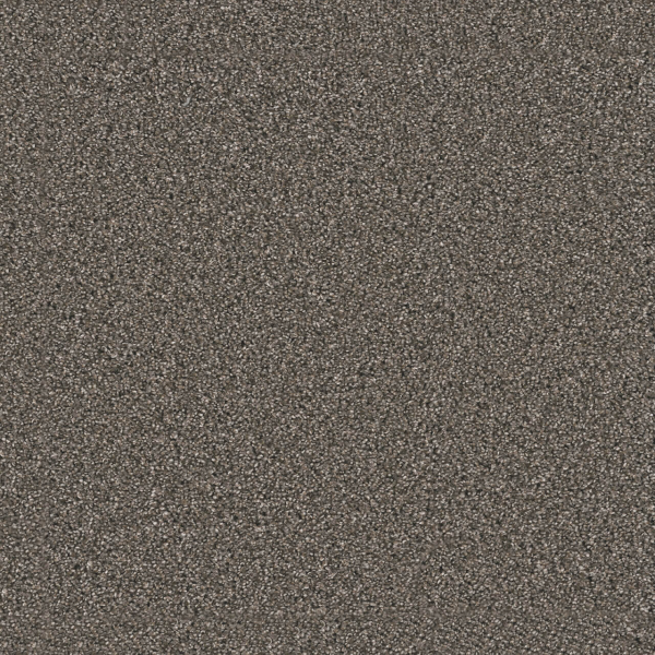 Dreamweaver Carpet Windy City II Rugby DREAMWEAVER