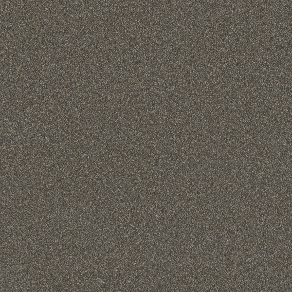 Dreamweaver Carpet Blazer II Rugby DREAMWEAVER