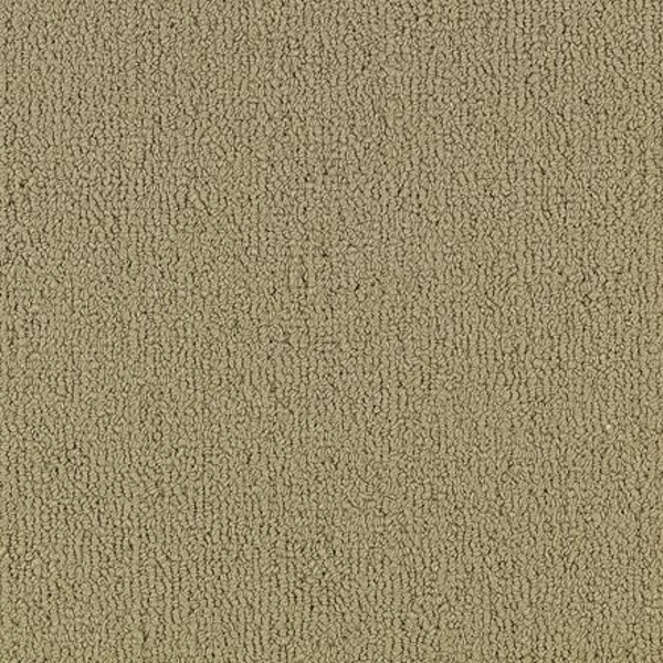 Philadelphia Commercial Color Accents BL Glided Shaw