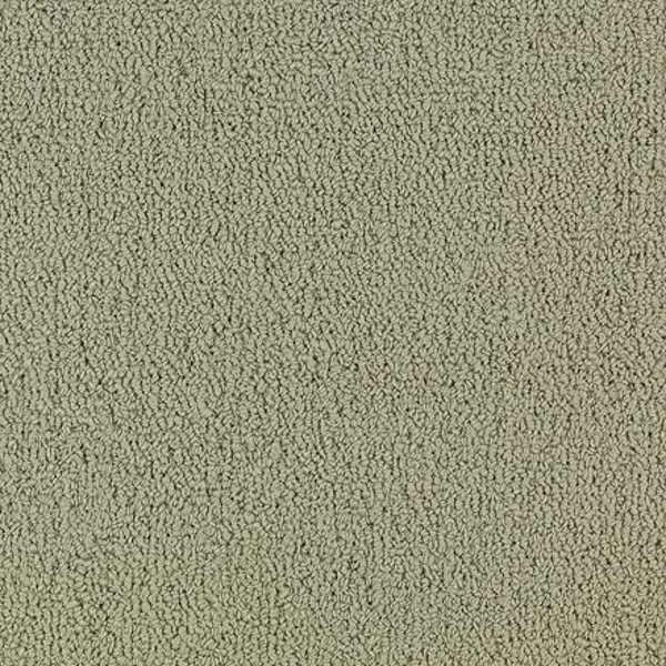 Philadelphia Commercial Color Accents BL Light Taupe Shaw