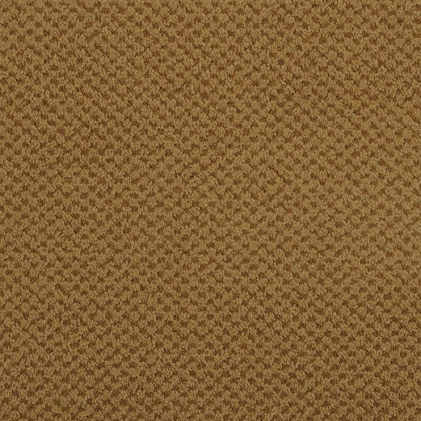 Masland Carpets Seurat Raw Sienna Masland