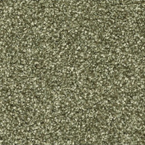 Horizon Carpet Quality Life Sage Mohawk