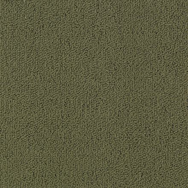 Philadelphia Commercial Color Accents BL Ivy Shaw