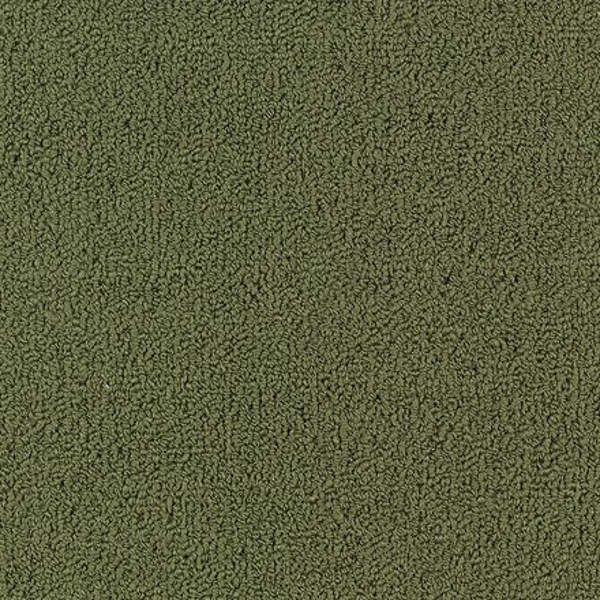 Philadelphia Commercial Color Accents BL Cactus Shaw