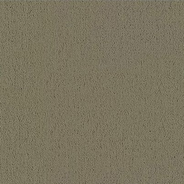 Philadelphia Commercial Color Accents BL Lichen Shaw