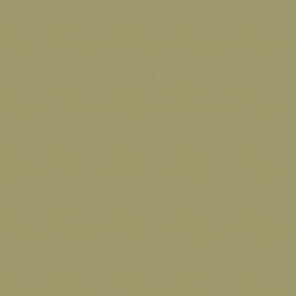 Philadelphia Commercial Color Accents BL Fescue Shaw