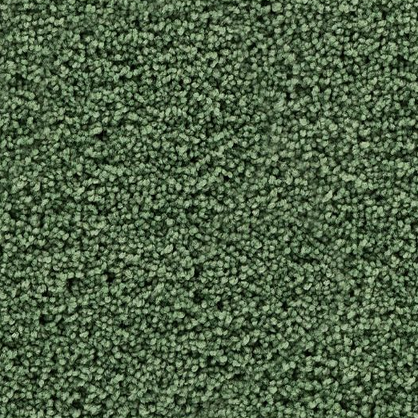 Mohawk Carpet Gentle Path Kiwi Splash Mohawk