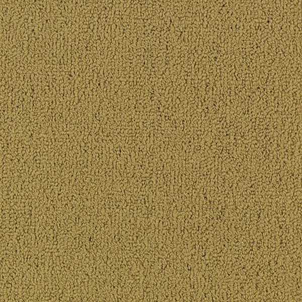 Philadelphia Commercial Color Accents BL Brasserie Shaw